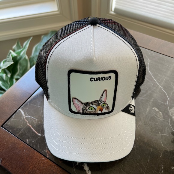 Goorin Bros Other - Goorin Bros Curious hat 🐱